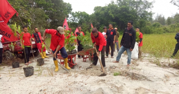 Mantap DPC PDI Perjuangan Bangka Tanam Ratusan Pohon