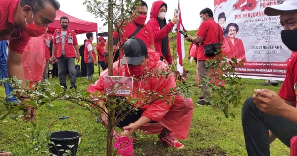 HUT Megawati DPD PDI Perjuangan Sulsel Tanam 48 000 Pohon