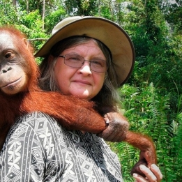 PDI Perjuangan Sampaikan Duka Cita atas Wafatnya Birute Galdikas, “Ibu Orang Utan Kalimantan”