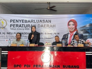 Ineu Purwadewi Dorong Pemerintah Daerah Ikut Andil Dalam Penguatan UMKM