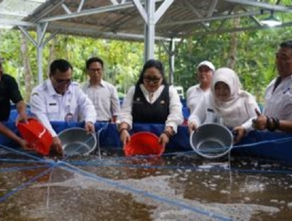 Bupati Endah Subekti Tebar Benih Lele di KDMP Genjahan Ponjong, Dukung Program MBG 