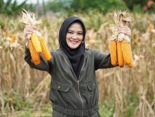Sarifah Ainun Jariyah Hadiri Panen Jagung di Serang: Jadikan Banten Lumbung Pangan