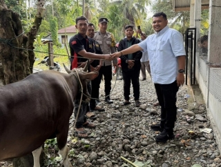 Jamaluddin Idham Serahkan Bantuan Sapi Kepada Keluarga Syuhada GAM di Nagan Raya