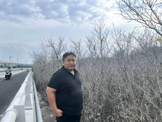 Nyoman Parta Desak Pelindo Jelaskan Kematian Mendadak Ratusan Mangrove di Pesisir Bonoa