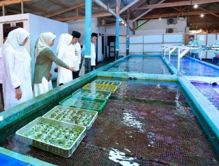 Bupati Ipuk Apresiasi Budidaya Koral Hias Banyuwangi, Diminati Pasar Asia Hingga Eropa