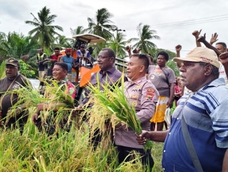 Edoardus Kaize Puji Keberhasilan Panen Perdana Padi Masyarakat Kampung Matara, Merauke