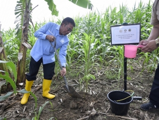 Sonny Dorong Pengembangan Tanaman Sukun Dalam Program Rehabilitasi Hutan dan Lahan