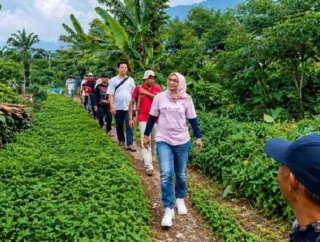 Sadarestuwati Kunjungan Lapangan Tinjau Potensi Wonosalam: Kekuatan Pangan Dimulai dari Desa