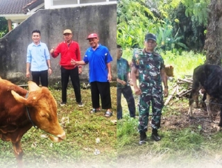 Sambut Idul Adha di Lampung, Sudin Serahkan Tiga Ekor Sapi Kurban 