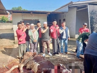 Sarat Makna Sosial, DPC PDI Perjuangan Depok Sembelih Hewan Kurban di Hari Raya Iduladha 1447 H