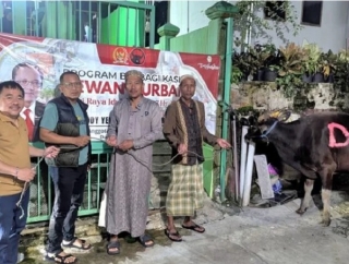 Idul Adha 1447 H, Deddy Sitorus Salurkan 14 Ekor Sapi Kurban Bagi Masyarakat Kalimantan Utara