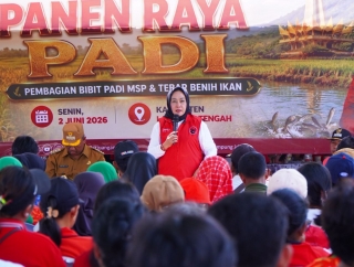 Sokong Ketahanan Pangan, PDI Perjuangan Panen Raya hingga Tebar 70 Ribu Benih Ikan di Lampung Tengah