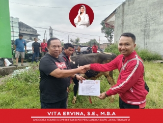 Iduladha 2026: Anggota DPR RI Vita Ervina Salurkan Sapi dan Kambing Kurban di Magelang