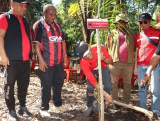 Jaga Ketahanan Pangan Lokal, DPD PDI Perjuangan Papua Tanam Sagu di Jayapura