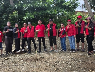 Politik Hijau, PDI Perjuangan Tanam 1.000 Bibit Mangrove di Pesisir Teluk Ambon yang Tergerus Abrasi dan Pembangunan