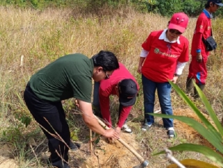Tanam Pohon di Tahura Menumbing, Elvi Diana Gaungkan Gerakan Merawat Bumi