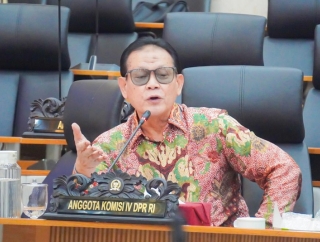 Penyelundupan Bibit Lobster Rugikan Negara Rp16 Triliun, Rokhmin Desak Pemerintah Bongkar Aktor Intelektual