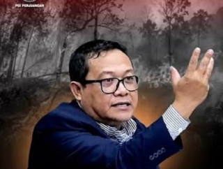 Sonny Danaparamita: Anggaran Kemenhut Belum Prioritaskan Pencegahan Karhutla
