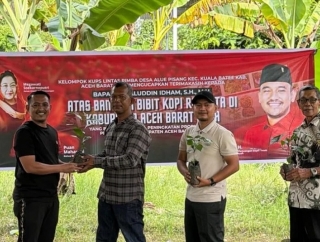 Dukung Ekonomi Petani Abdya, Jamaluddin Idham Salurkan Ribuan Bibit Kopi