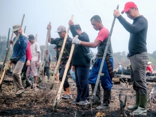 Kearifan Lokal, Bupati Fransiskus Diaan Turun Langsung Ikuti Tradisi Menugal Padi Ladang