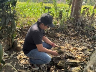 Geger Benda Purbakala Hilang, Candra Ary Fianto: Jember Darurat Cagar Budaya