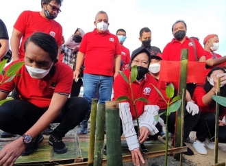 Risma Tanam Mangrove di HUT Megawati: Ini Sudah Benar