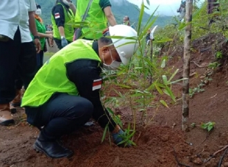 Bupati Sikka Robi Idong Ungkap Arti Penting Menanam Bambu 