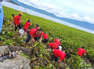 Banteng Sumatera Utara Gotong Royong Bersihkan Danau Toba