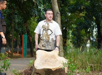 Hardiyanto Kenneth Minta Distamhut Serius Pelihara Fasilitas Tebet Eco Park