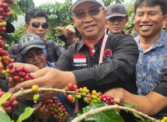 Mukhlis Basri Yakin Produktivitas & Kualitas Kopi Lampung Barat Terus Meningkat