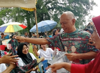  Dian Kristiandi Turun Gunung Menangkan Andika - Hendi