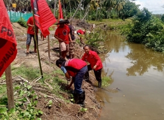 HUT ke-78 Megawati Soekarnoputri, Banteng Mamuju Tanam Mangrove di Pesisir Kalukku