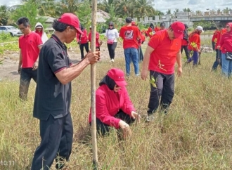 Peringati HUT Megawati, Banteng Pangandaran Tanam Ribuan Mangrove di Pesisir Pantai Karang Tirta