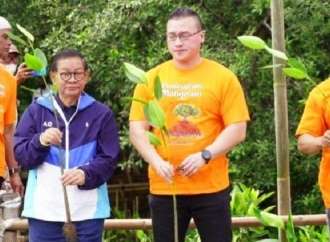 Kenneth DPRD DKJ: Penanaman Mangrove di Pesisir untuk Selamatkan Ekosistem