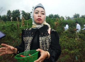 Rita Siap Fasilitasi Pemasaran Hasil Petani Cabai di Magetan