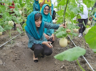 Mengintip Gagasan Kemandirian Pangan Novita Hardini, Setiap Rumah Didorong Jadi Lumbung Hidup