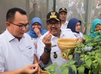 Rano Karno Ingin Jakarta Perbanyak Tanaman Buah Untuk Hidupkan Ekosistem Burung