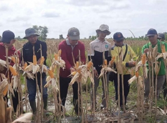 Dukung Ketahanan Pangan, Kamarudin Muten Ajak ASN Beli Hasil Panen Petani Lokal