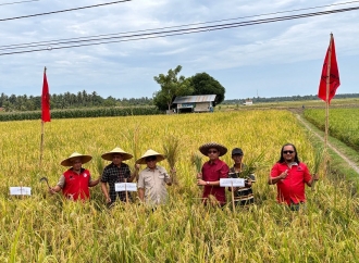 Agus Ambo Djiwa Pastikan Aspirasi Petani di Desa Beru-beru Mamuju Akan Dipenuhi