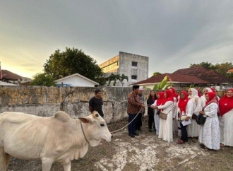 Rapidin Simbolon Serahkan 100 Ekor Sapi Kurban ke Masyarakat Akar Rumput