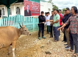  Iduladha 1446 H, Deddy Sitorus Kembali Salurkan Hewan Kurban di Bulungan Bagi Warga yang Berhak