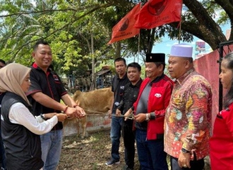 Rapidin Simbolon Serahkan Seekor Sapi Kurban Untuk Warga Sibolga