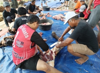 Utut Adianto Kirim Dua Sapi Kurban Untuk Warga Kebumen