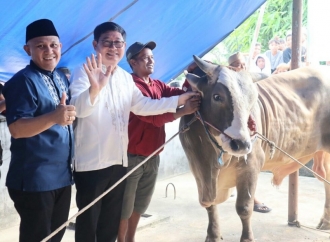 Kamarudin Muten Serahkan Sapi Presiden Seberat 822 Kilogram ke Masjid Assalam Desa Baru