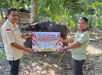 Devi Suhartoni Serahkan Hewan Kurban, Kerbau dan Sapi Presiden, ke Masjid Al-Barokah Desa Karang Anyar