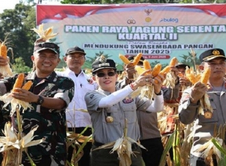 Tjhai Chui Mie: Panen Raya Jagung Momentum Penting Tingkatkan Kesejahteraan Petani Lokal