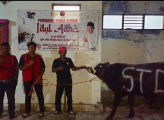 Sonny T. Danaparamita Salurkan Satu Ekor Sapi Kurban dan Paket Daging di Bondowoso