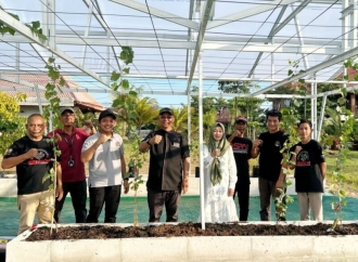 Mukhlis Basri Tanam Anggur di Lampung, Bentuk Dukungan Program Ketahanan Pangan 