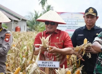 Sujiwo: Kubu Raya Siap Jadi Sentra Produksi Jagung Pipil di Kalimantan Barat