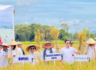 Agus Ambo Djiwa Bersama Komisi IV Panen Raya Padi Tanpa Pupuk di Agam Sumbar